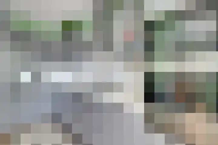 Zocalo 12 Assendelft thumbnail 28