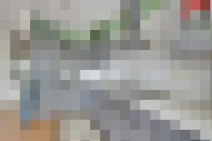 Zocalo 12 Assendelft thumbnail 29
