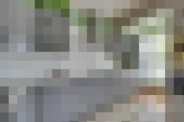 Zocalo 12 Assendelft thumbnail 30