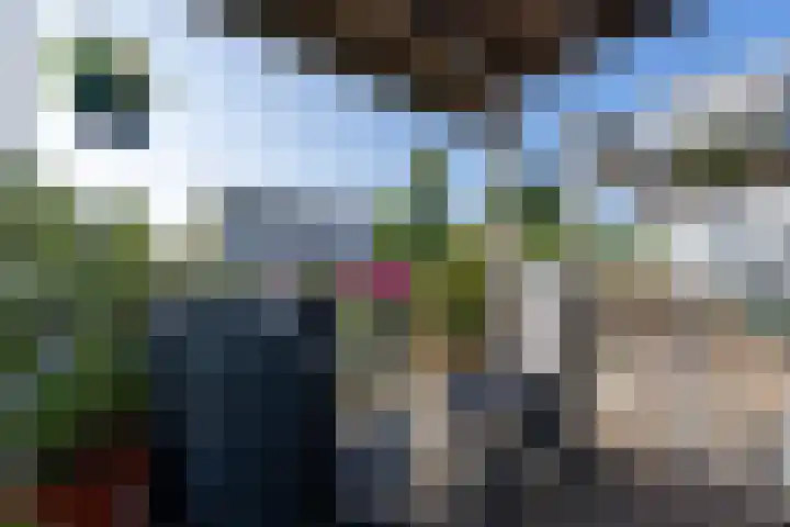 Zocalo 12 Assendelft thumbnail 31