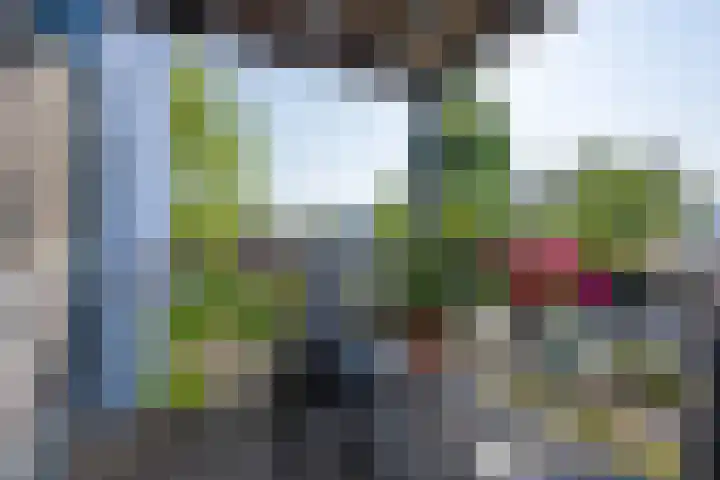 Zocalo 12 Assendelft thumbnail 32