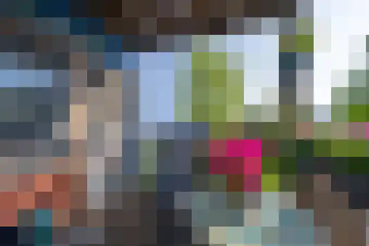 Zocalo 12 Assendelft thumbnail 33