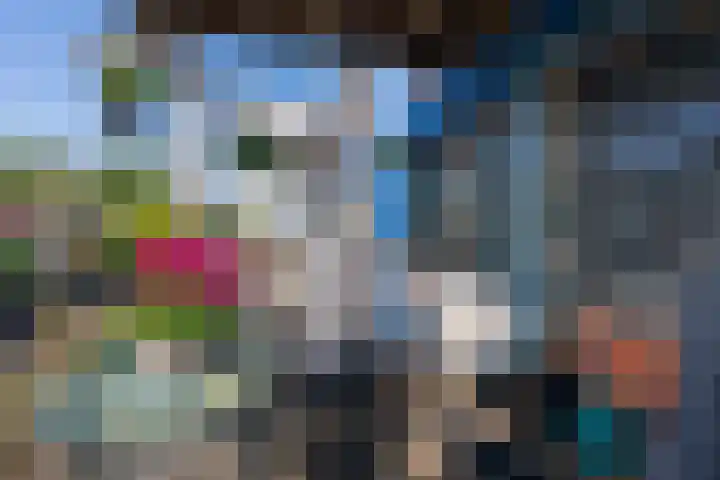 Zocalo 12 Assendelft thumbnail 34