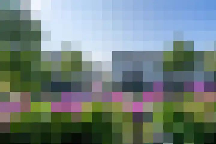 Zocalo 12 Assendelft thumbnail 35