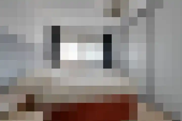 Zocalo 12 Assendelft thumbnail 36