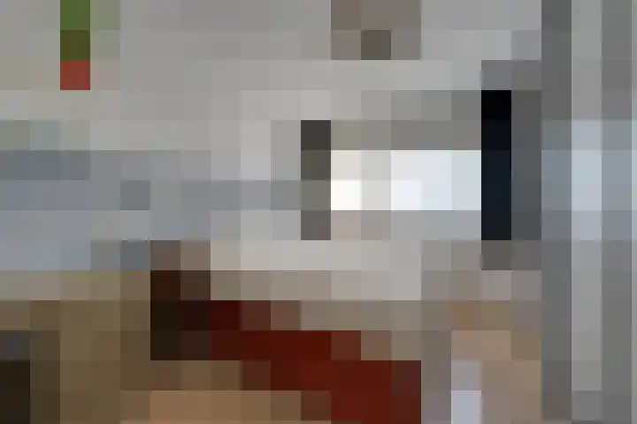 Zocalo 12 Assendelft thumbnail 37