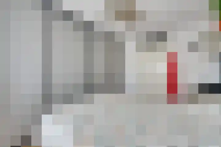 Zocalo 12 Assendelft thumbnail 39