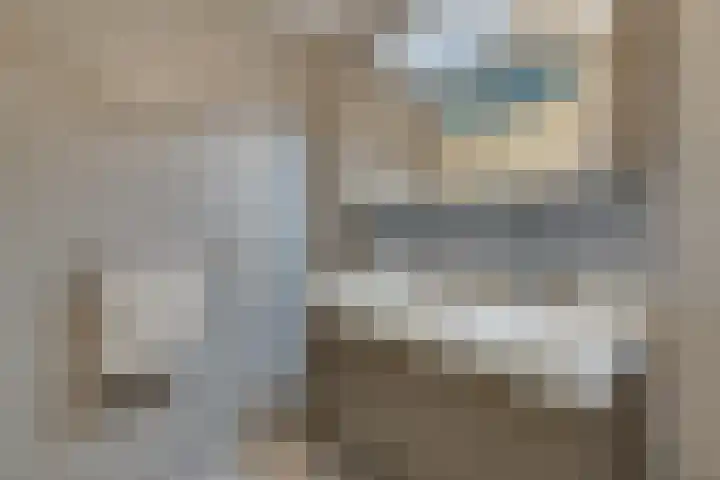 Zocalo 12 Assendelft thumbnail 44