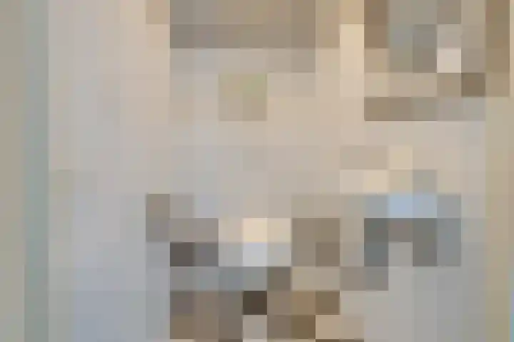 Zocalo 12 Assendelft thumbnail 47