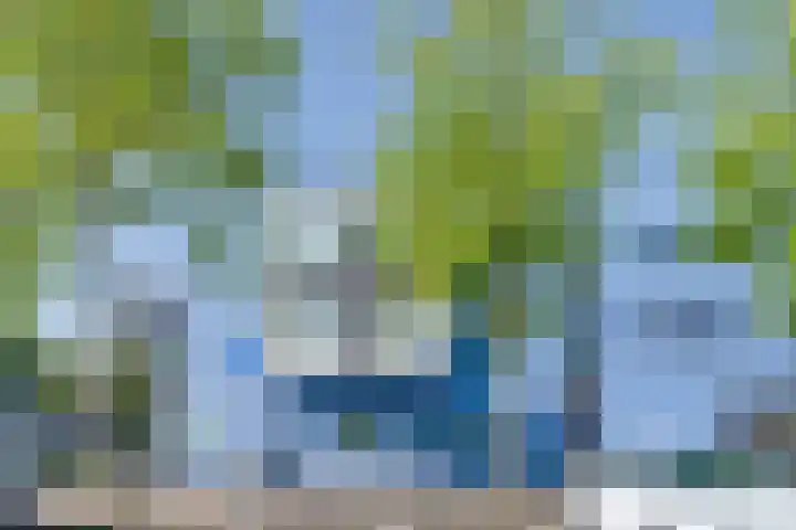 Zocalo 12 Assendelft thumbnail 6