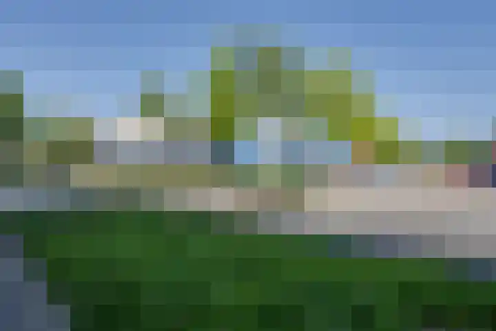 Zocalo 12 Assendelft thumbnail 7