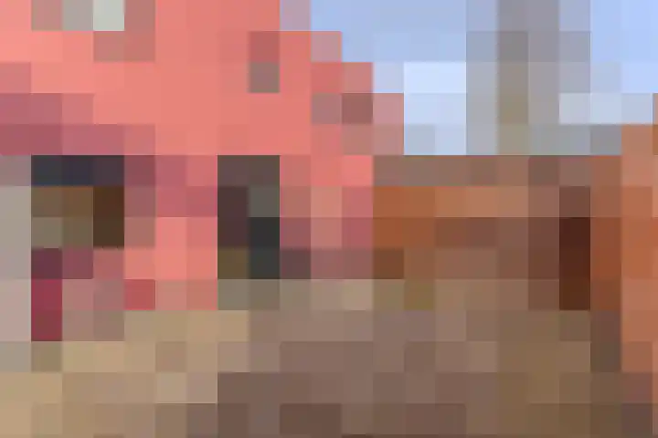 Zocalo 13 Assendelft thumbnail 13
