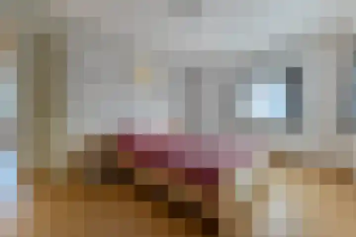 Zocalo 13 Assendelft thumbnail 18