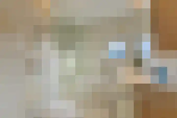 Zocalo 13 Assendelft thumbnail 24