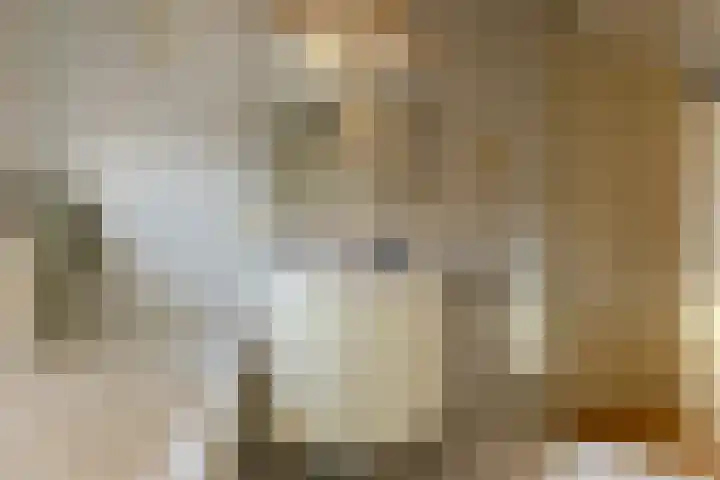 Zocalo 13 Assendelft thumbnail 26