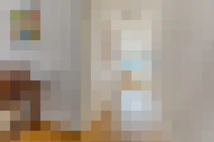 Zocalo 13 Assendelft thumbnail 6
