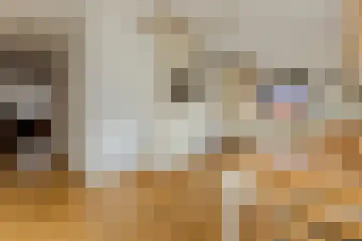Zocalo 13 Assendelft thumbnail 7