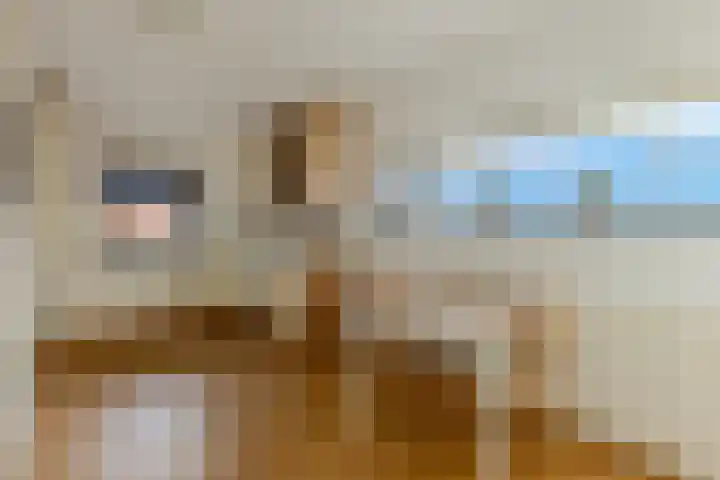 Zocalo 13 Assendelft thumbnail 8