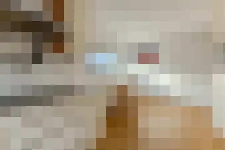 Zocalo 13 Assendelft thumbnail 9