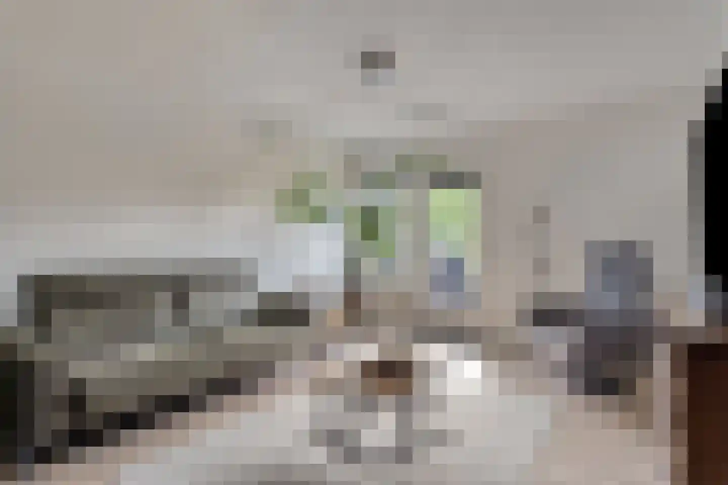 Zocalo 24 Assendelft thumbnail 10