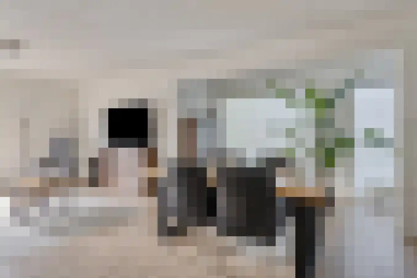 Zocalo 24 Assendelft thumbnail 11