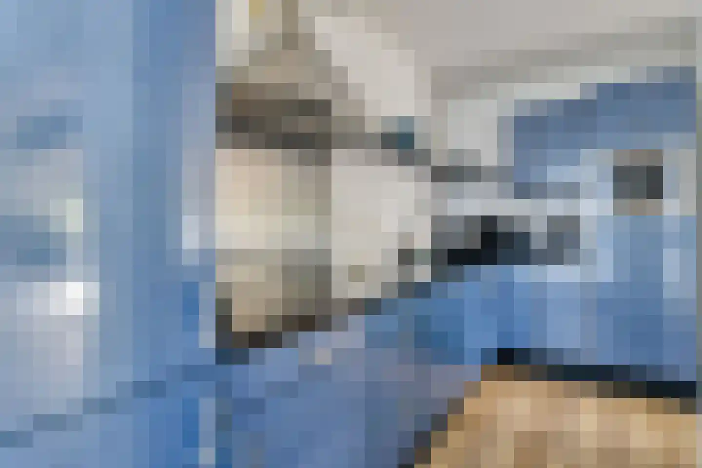 Zocalo 24 Assendelft thumbnail 14