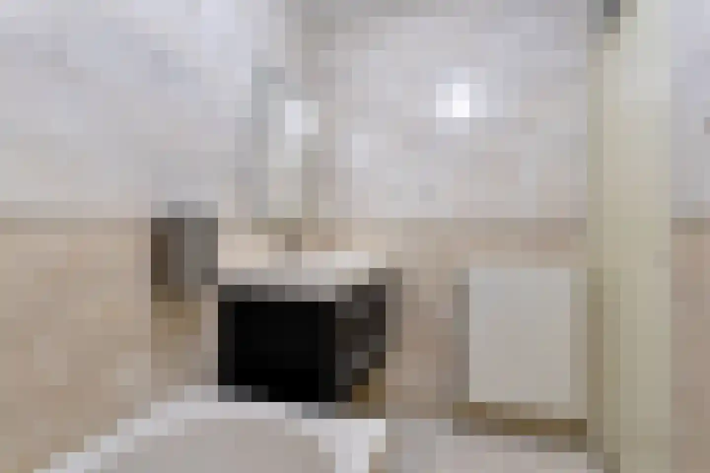 Zocalo 24 Assendelft thumbnail 19