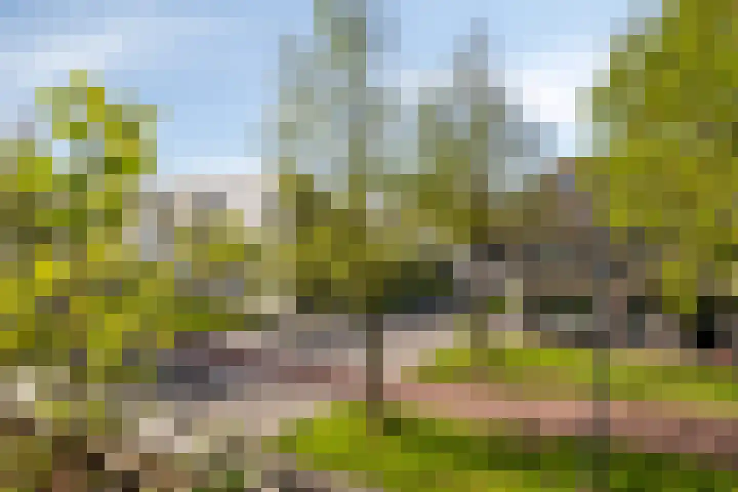 Zocalo 24 Assendelft thumbnail 21