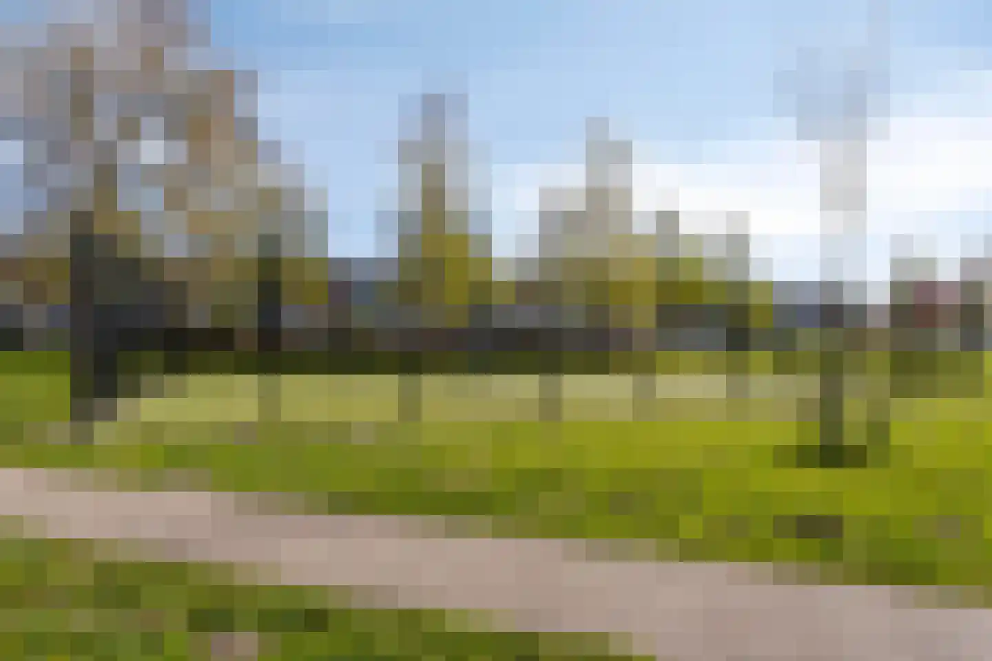 Zocalo 24 Assendelft thumbnail 26