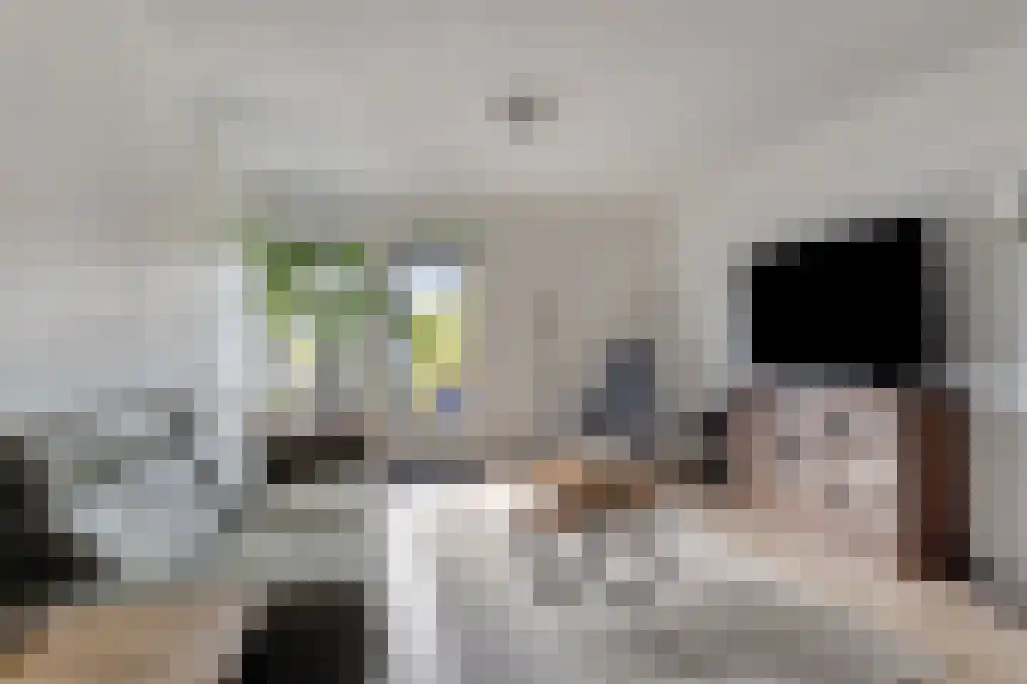 Zocalo 24 Assendelft thumbnail 9