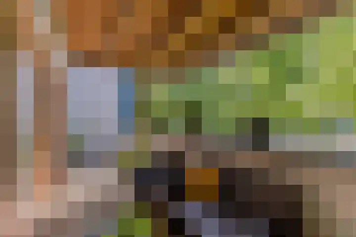 Zocalo 26 Assendelft thumbnail 10