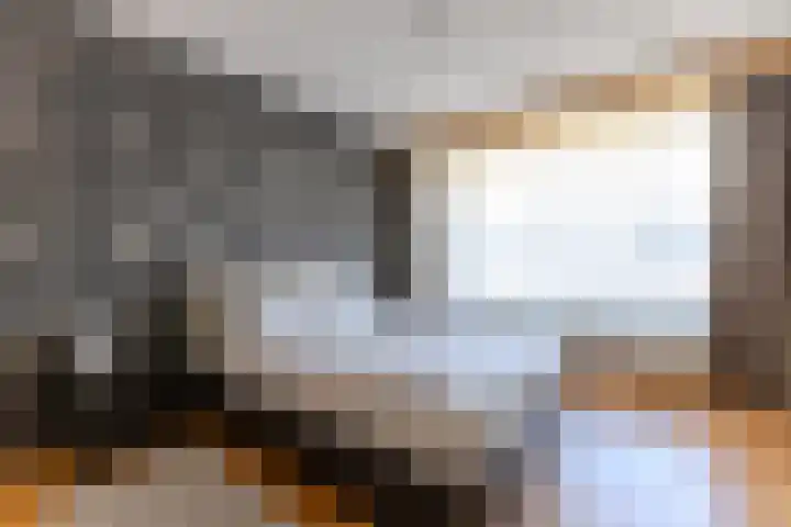 Zocalo 26 Assendelft thumbnail 12