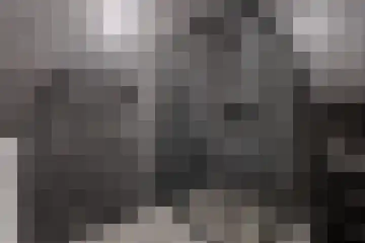 Zocalo 26 Assendelft thumbnail 15