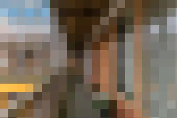 Zocalo 26 Assendelft thumbnail 18