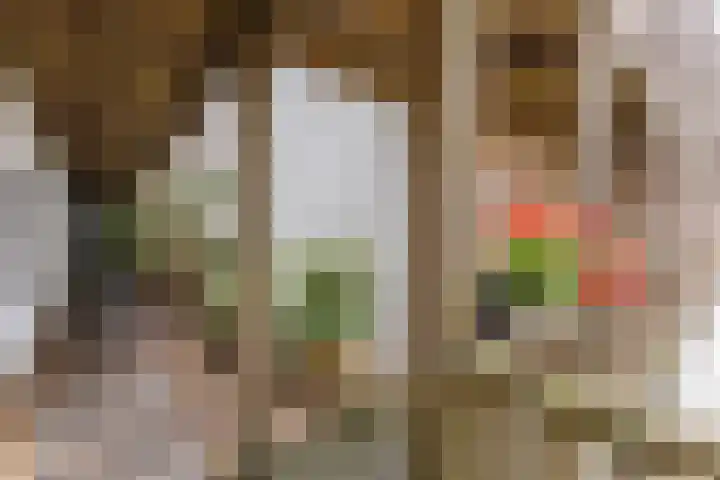 Zocalo 26 Assendelft thumbnail 19