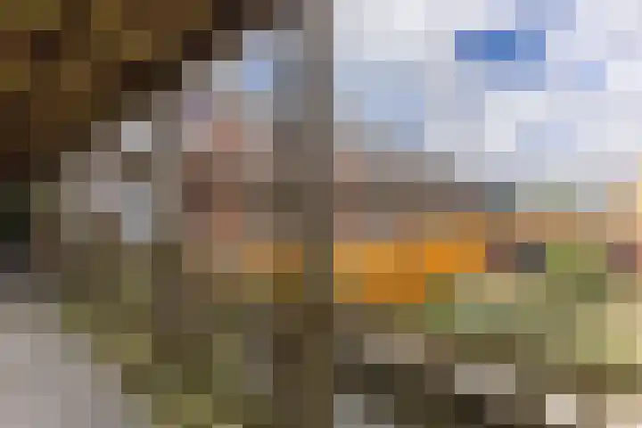 Zocalo 26 Assendelft thumbnail 20