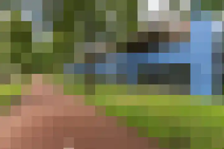 Zocalo 26 Assendelft thumbnail 21
