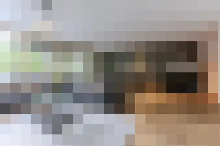 Zocalo 26 Assendelft thumbnail 4