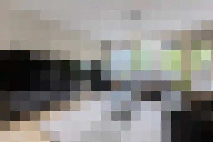 Zocalo 26 Assendelft thumbnail 5