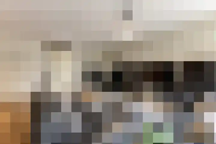 Zocalo 26 Assendelft thumbnail 6