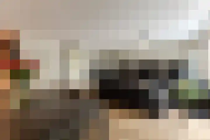 Zocalo 26 Assendelft thumbnail 7