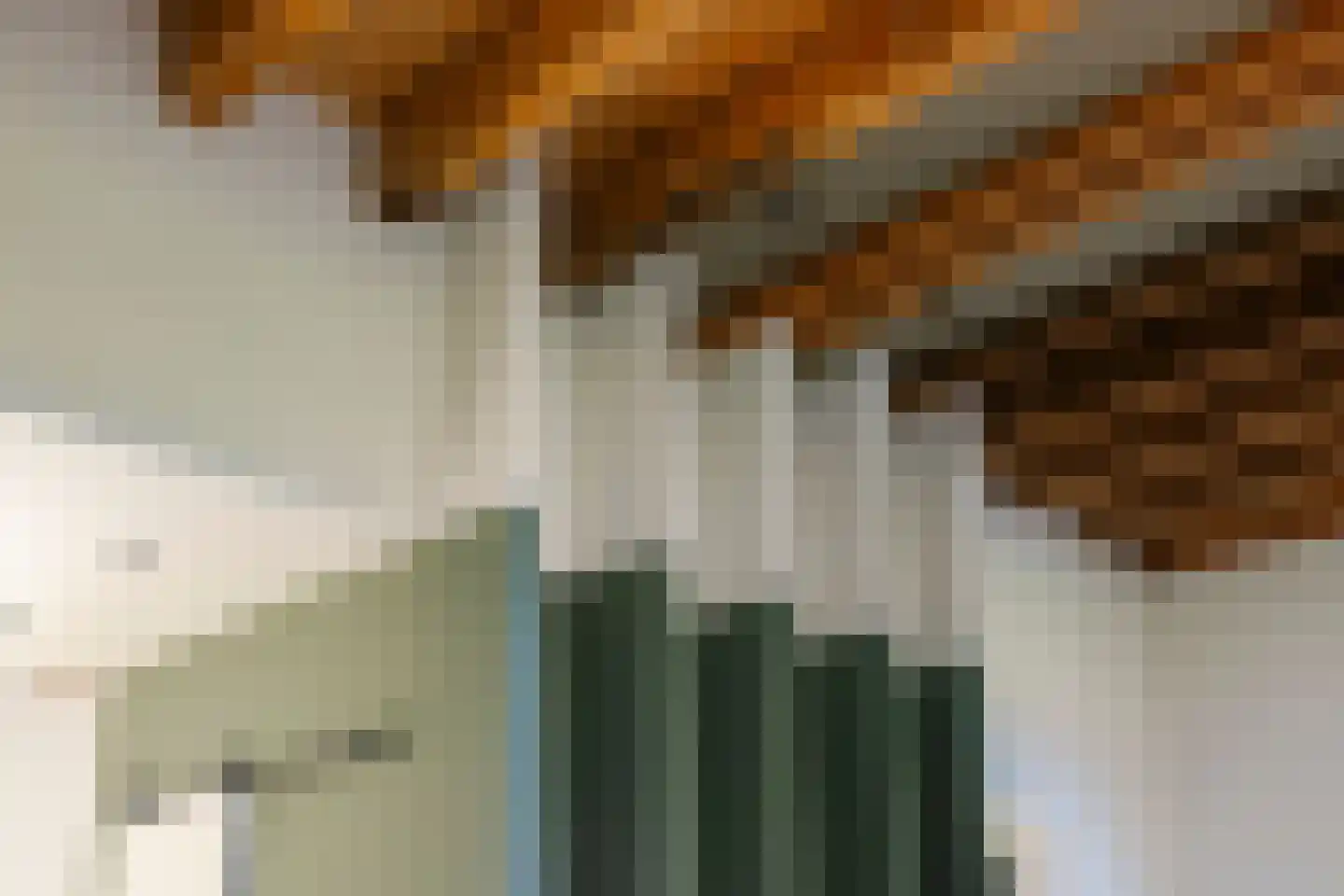Zocherlaan 36 Bloemendaal thumbnail 17
