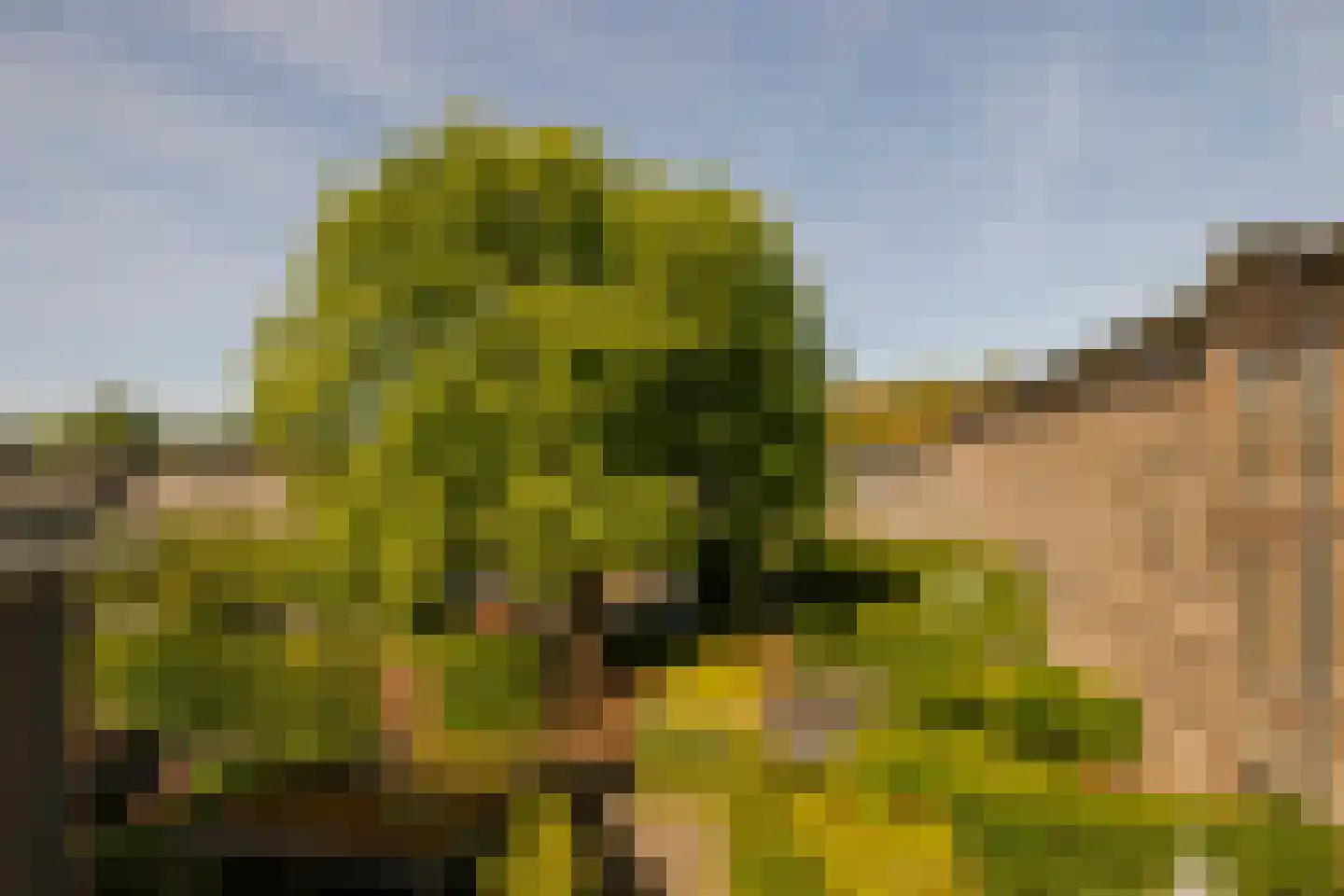 Zocherlaan 36 Bloemendaal thumbnail 44