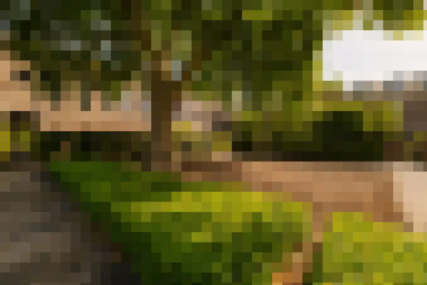 Zocherlaan 36 Bloemendaal thumbnail 51