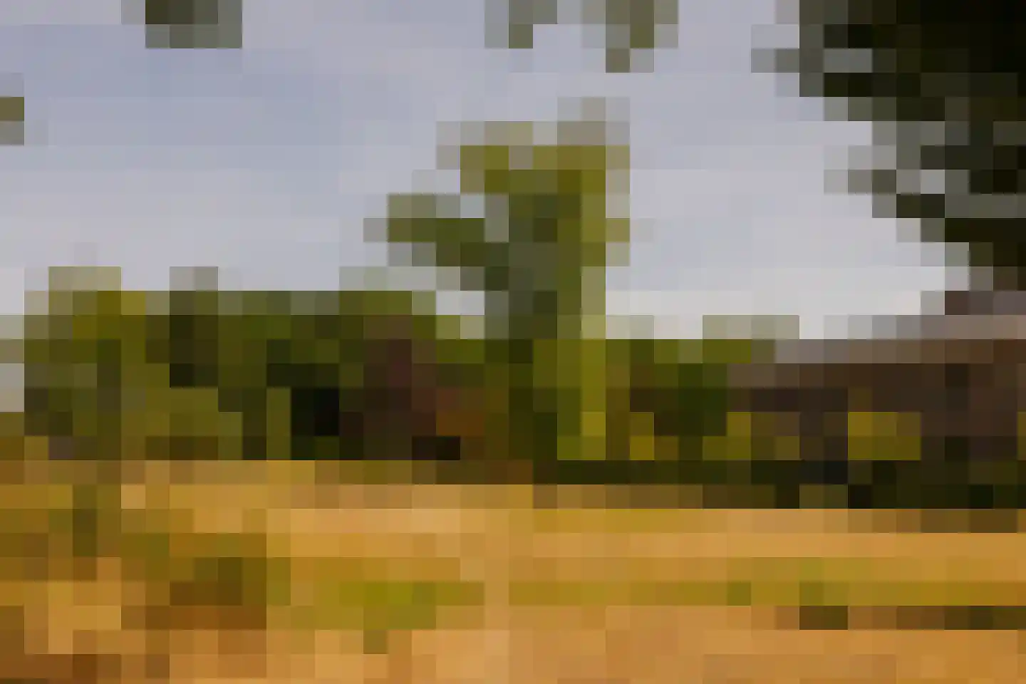 Zocherlaan 36 Bloemendaal thumbnail 54