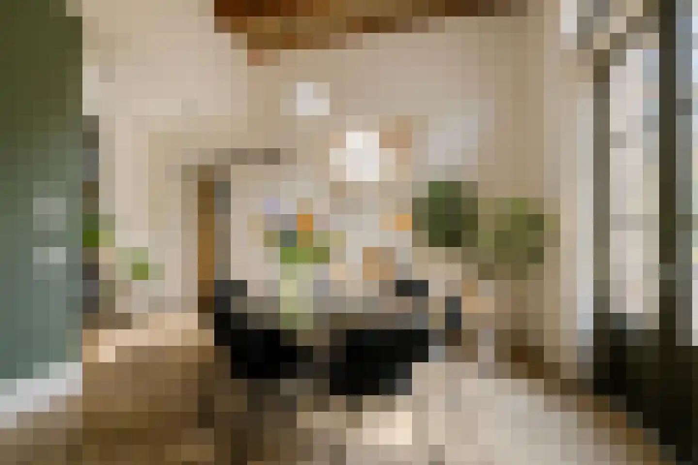 Zocherlaan 36 Bloemendaal thumbnail 8