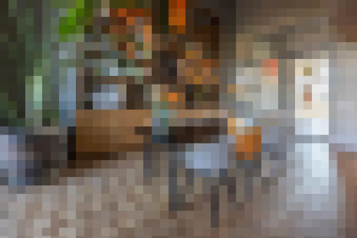 Zocherlaan 66 Bloemendaal thumbnail 4