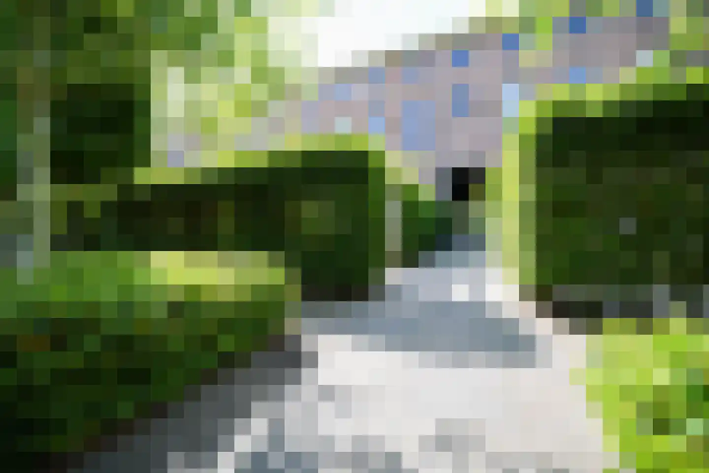 Zocherlaan 66 Bloemendaal thumbnail 52