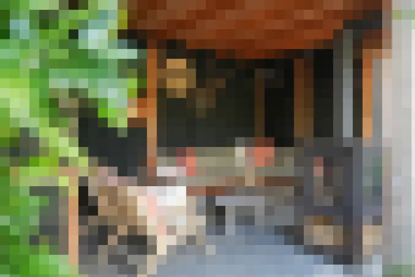 Zocherlaan 66 Bloemendaal thumbnail 57
