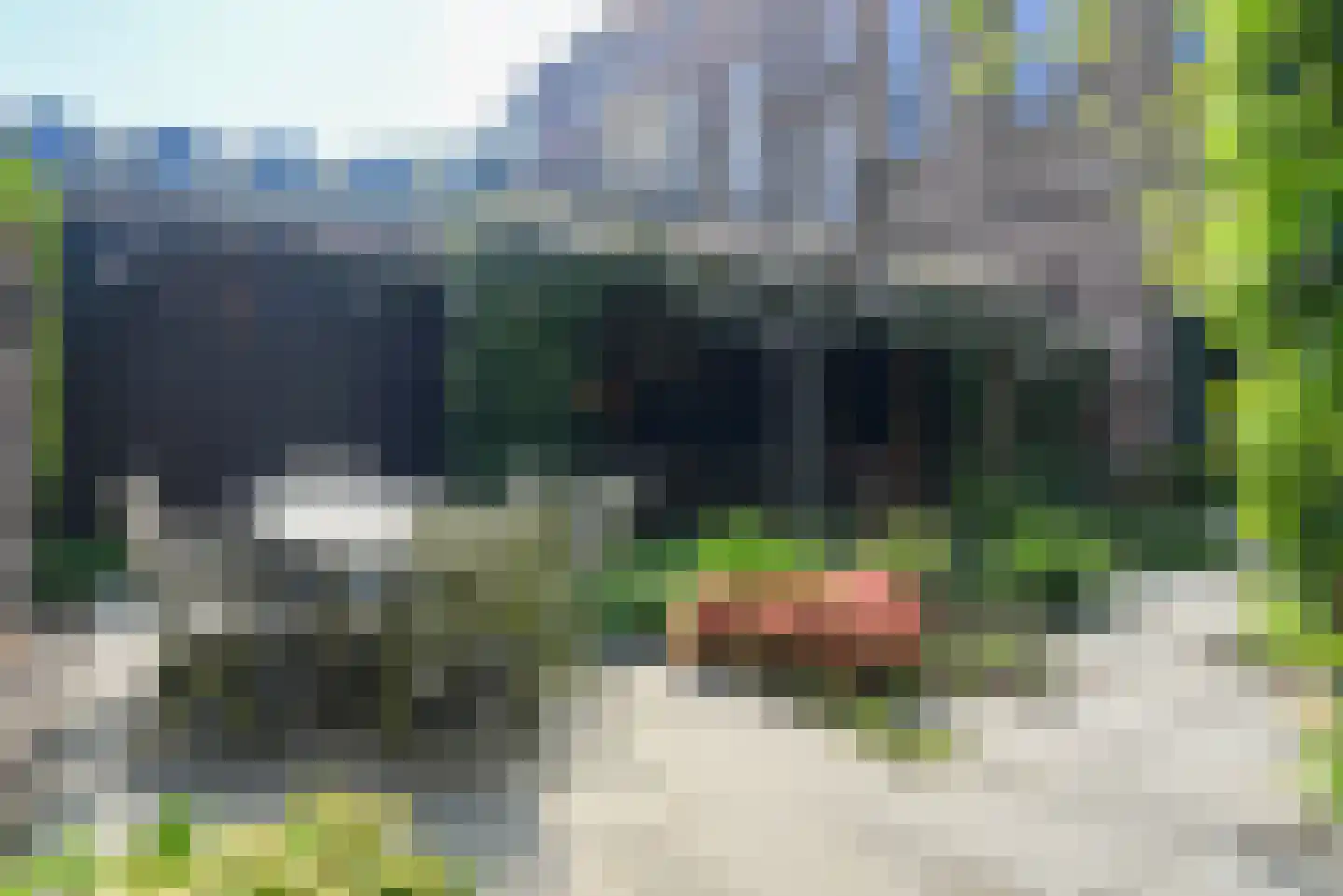 Zocherlaan 66 Bloemendaal thumbnail 58